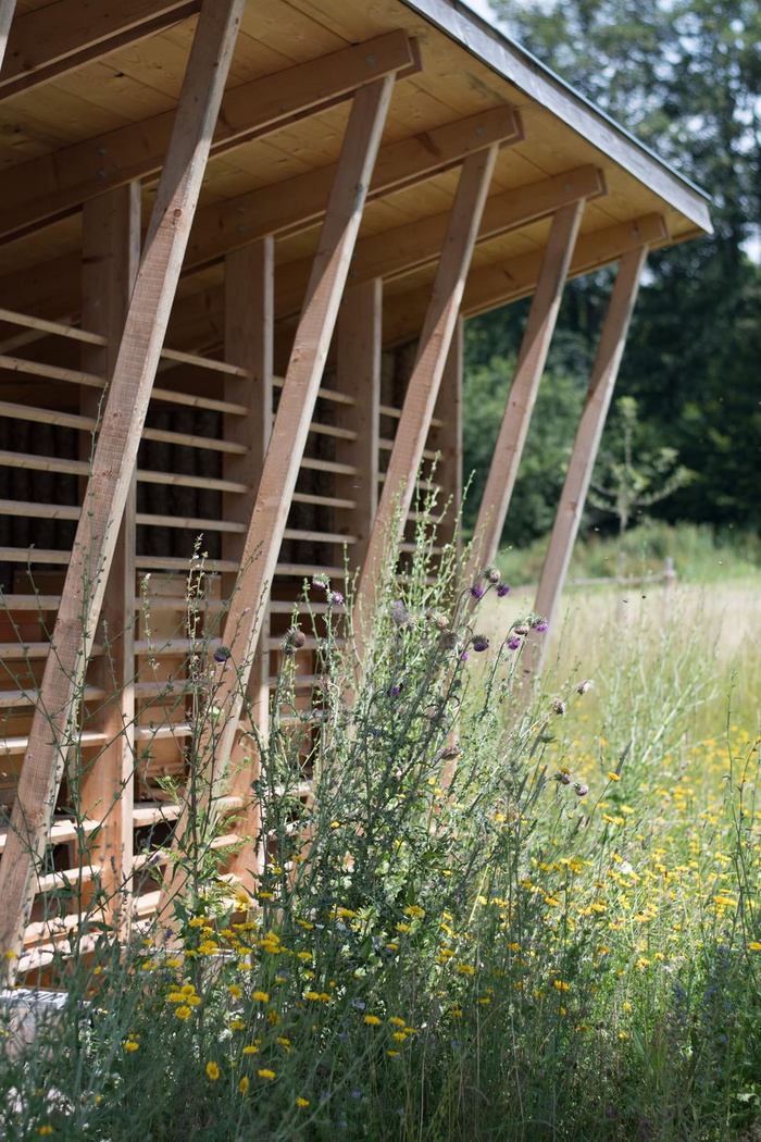 Ausflug Bienenhaus