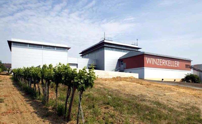 Winzerkeller Neckenmarkt