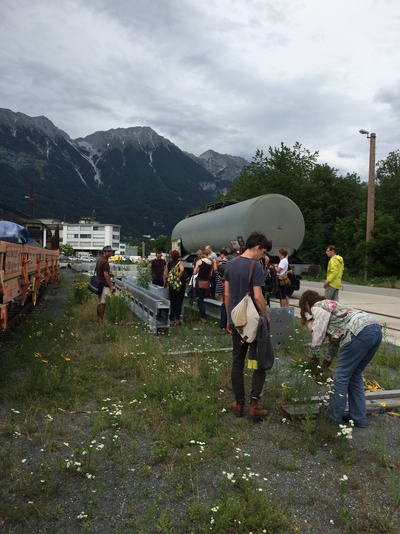 Spaziergang durch die unbekannte Welt der Pflanzen mit Thomas Schuh und Michael Thalinger