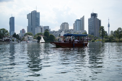 Donau-Tour: Ein Wasserhabitat © ÖGFA / AT19 / Matthias Ritschl