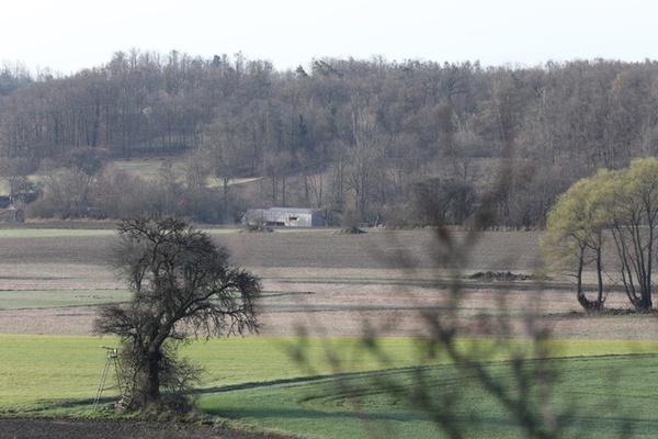 Wolfshof, Foto: © archipel architekten, 2024