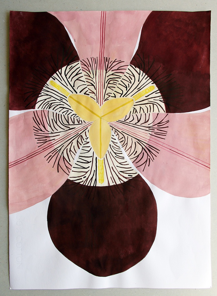 Carmen Müller, Schwertlilie, Tempera auf Papier, 2019