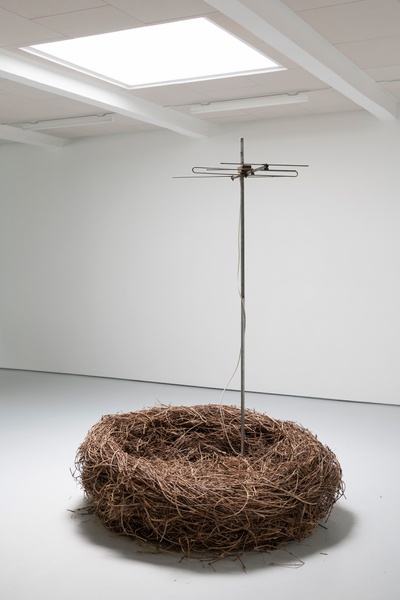 Roland Maurmair, Singlehit / Garçonnière, Installation, 2021