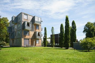 Holz 4