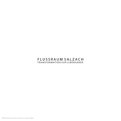 Flussraum Salzach