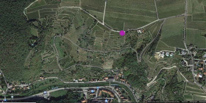 Weinberg am Kremser-Rehberg, Geodaten: 48.424110 / 15.600850