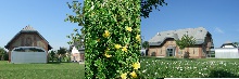 Felmayergarten Schwechat
